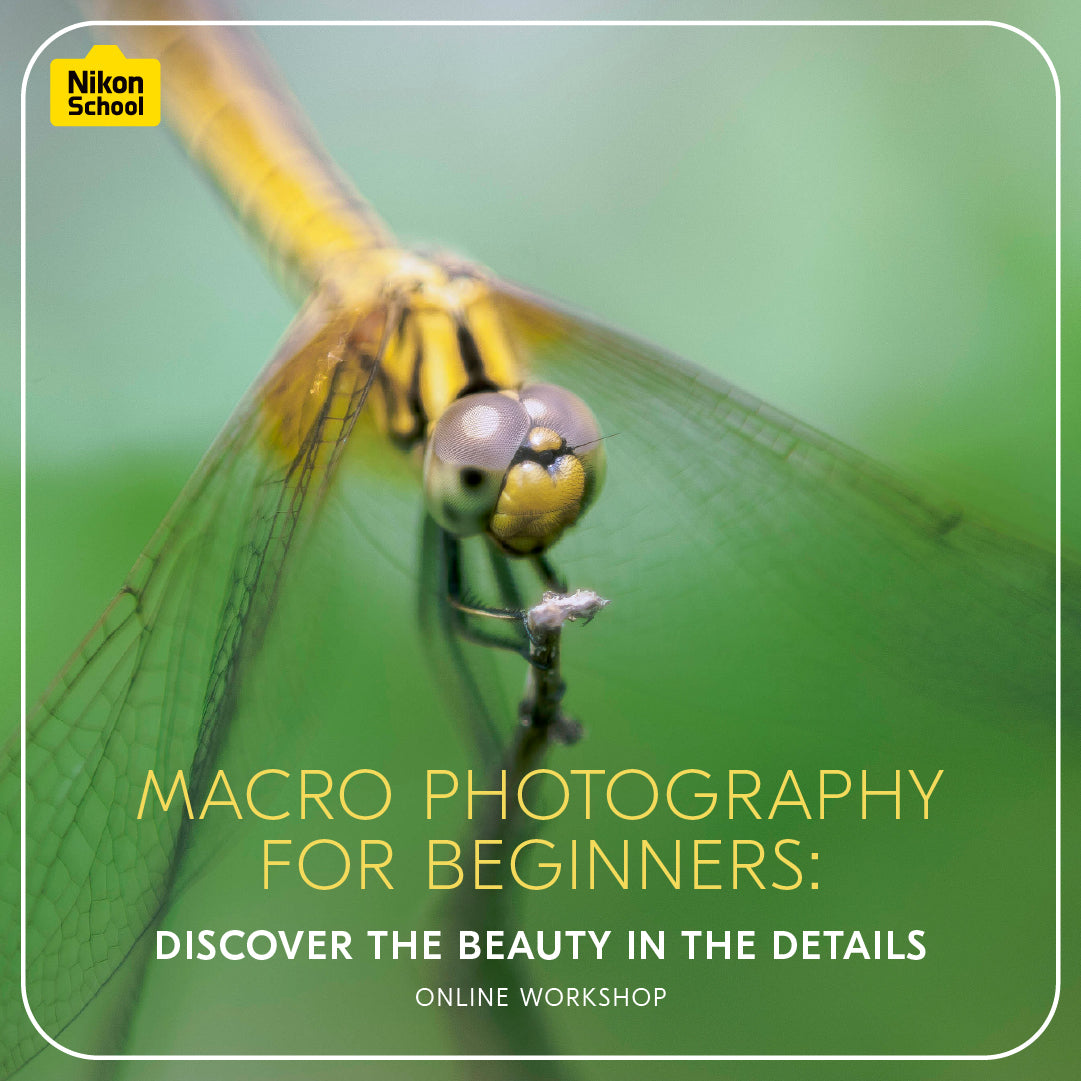 Macro Photography for Beginners: Discover the Beauty in the Details