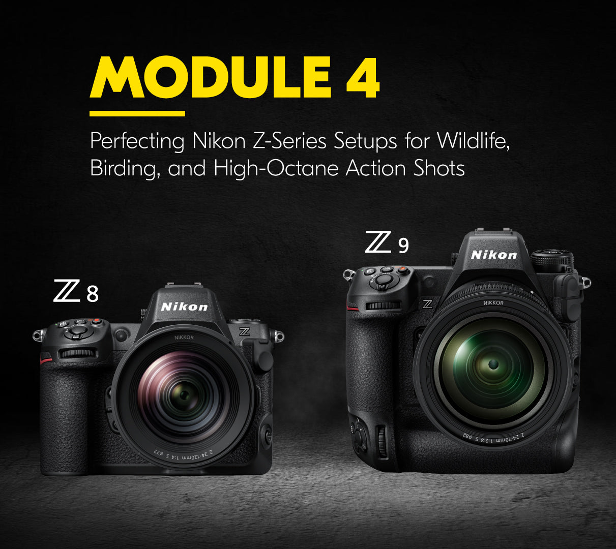 Module 4: Unleash the Zoom: Perfecting Nikon Z-Series Setups for Wildlife, Birding, and High-Octane Action Shots