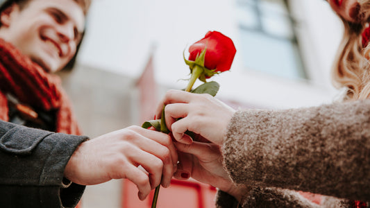 Capturing Love and Connection with Nikon
