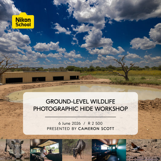 Ground-Level Wildlife Photographic Hide Workshop With Cameron Scott