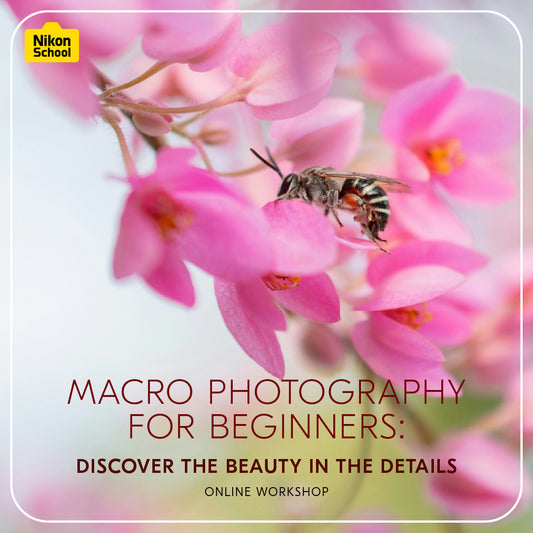 Macro Photography for Beginners: Discover the Beauty in the Details