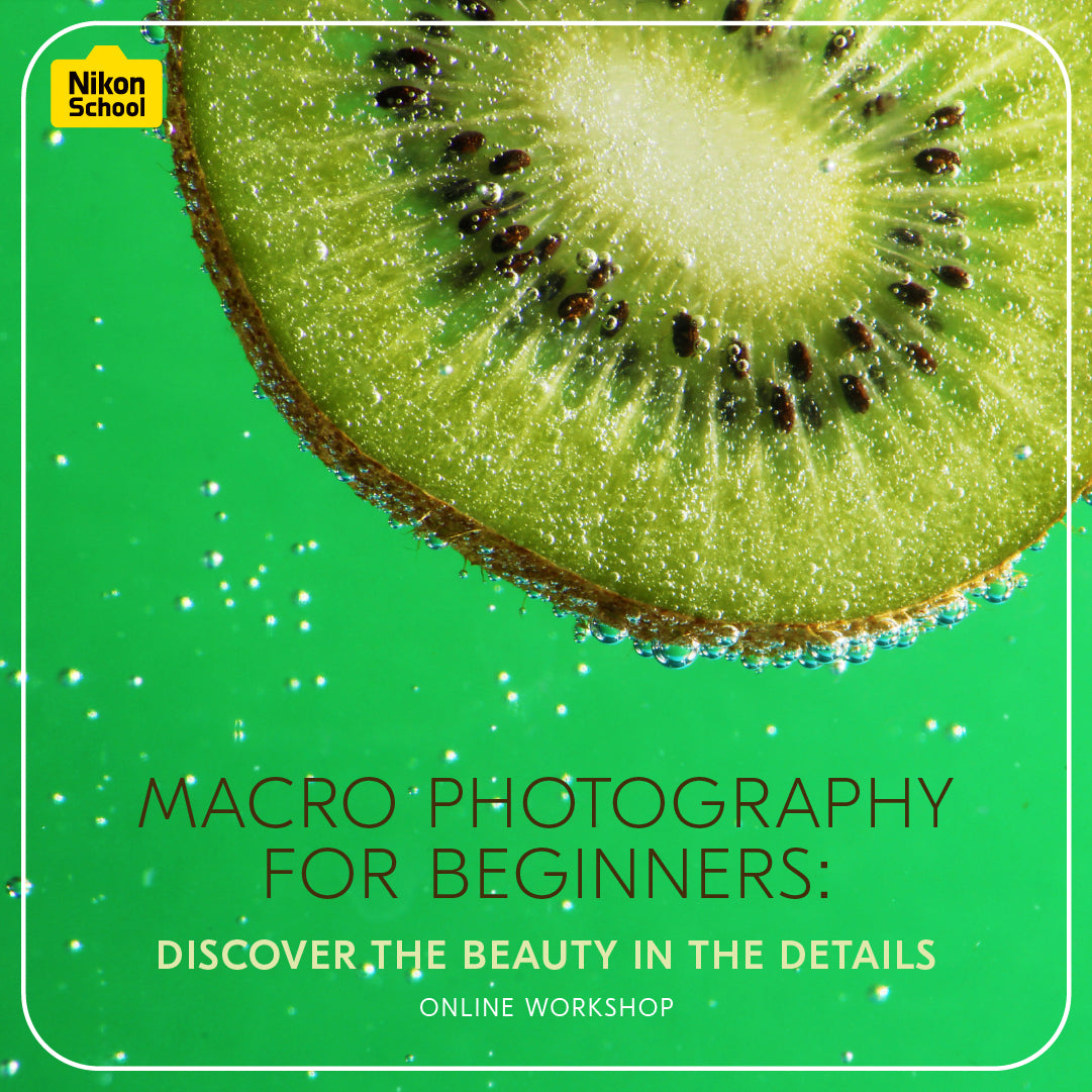 Macro Photography for Beginners: Discover the Beauty in the Details