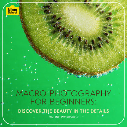 Macro Photography for Beginners: Discover the Beauty in the Details
