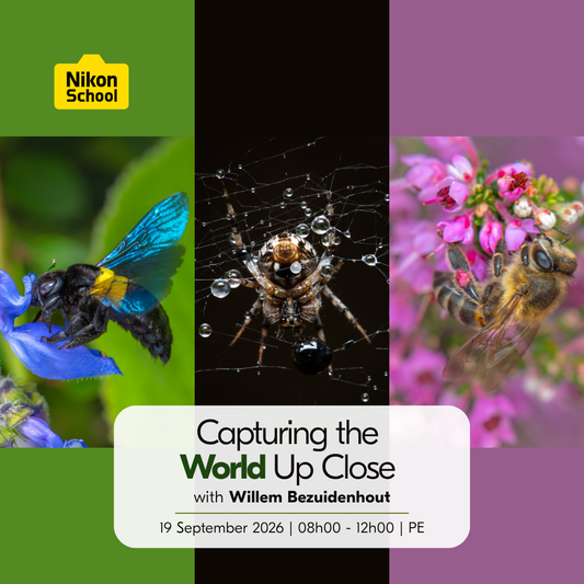 Macro Photography: Capturing the World Up Close with Willem Bezuidenhout