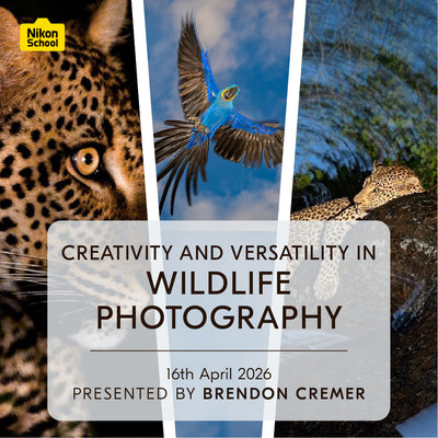 Creativity and Versatility in Wildlife Photography with Brendon Cremer